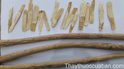 H&igrave;nh ảnh vị thuốc ho&agrave;ng kỳ